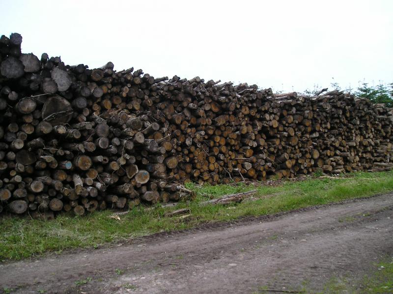 industrie hanger Doe voorzichtig Goedkoop haardhout kopen in Drenthe en Groningen